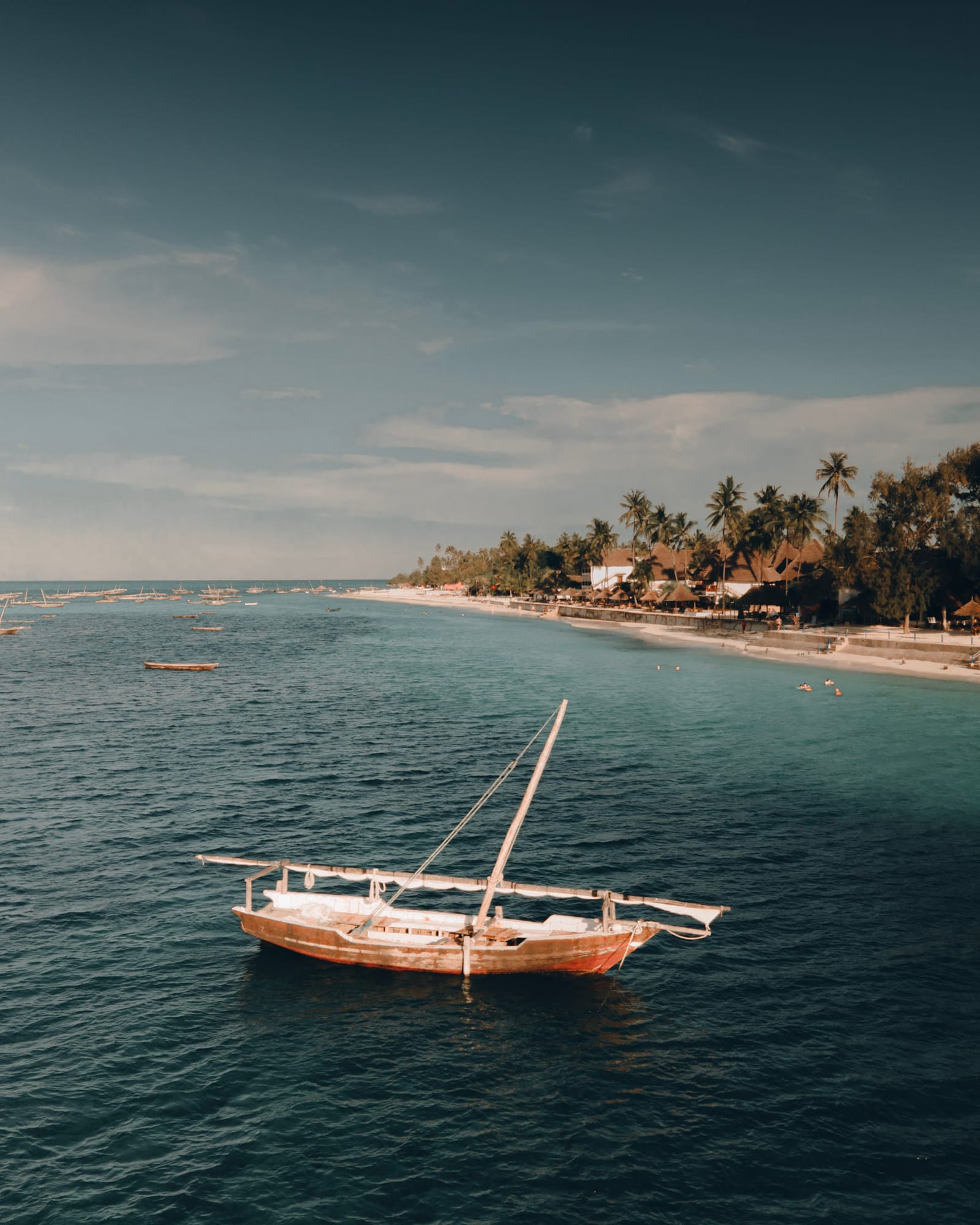 Dhow anchored off a palm-lined Zanzibar beach
